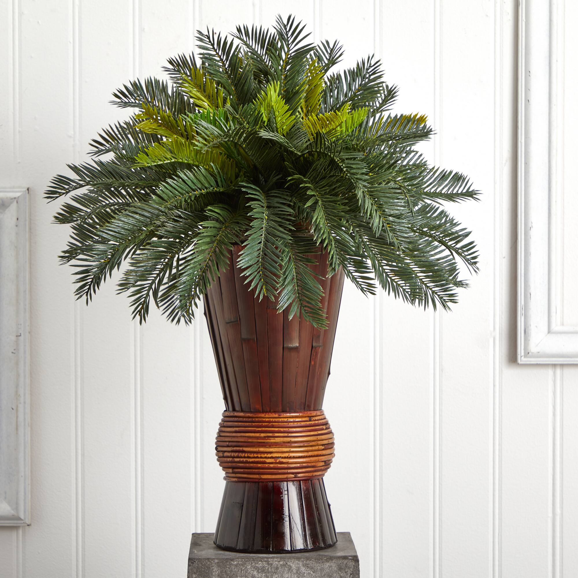 2.5ft Cycas Palm Tree in Bamboo Planter